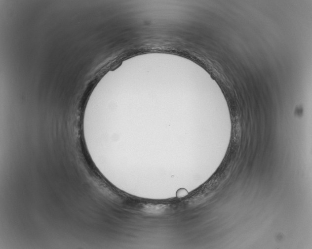 X0000116390450201001131833