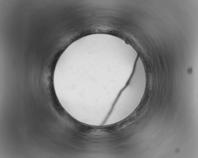 X0000116390451201001131833