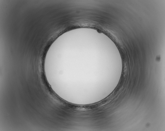 X0000116390453201001131833