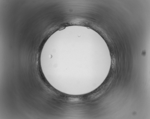 X0000116390454201001131833