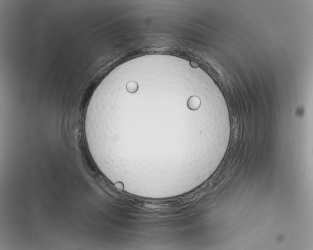 X0000116390455201001131833