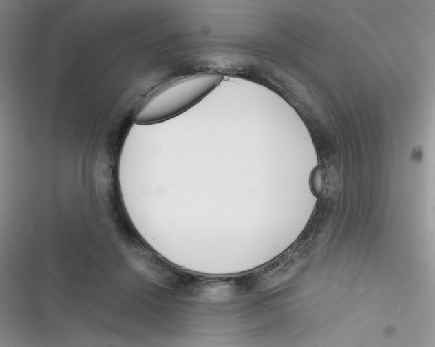 X0000116390456201001131833