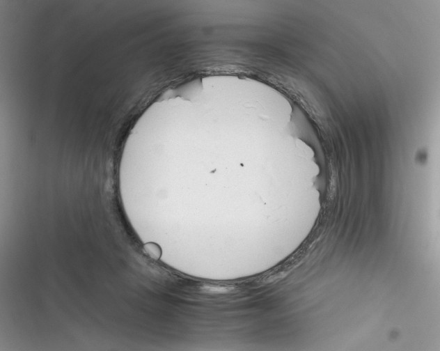 X0000116390457201001131833