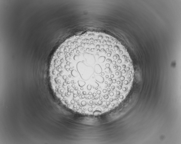 X0000116390458201001131833