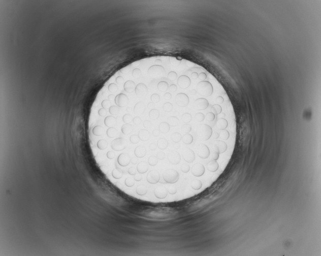 X0000116390459201001131833
