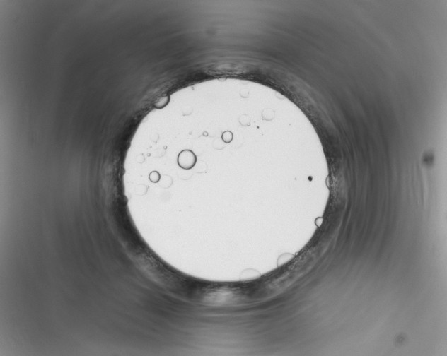 X0000116390460201001131833