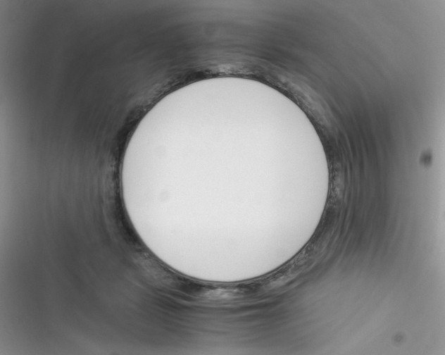 X0000116390461201001131833