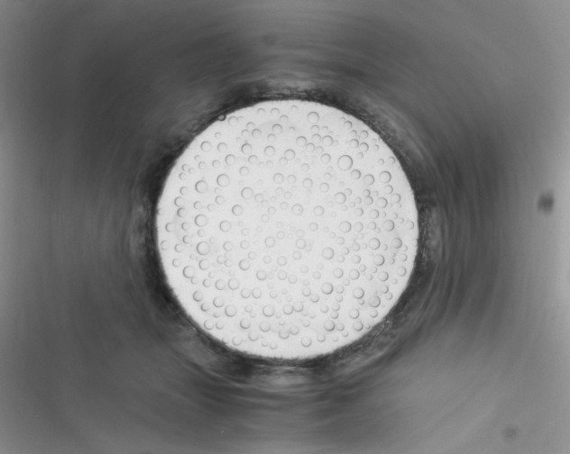 X0000116390463201001131833