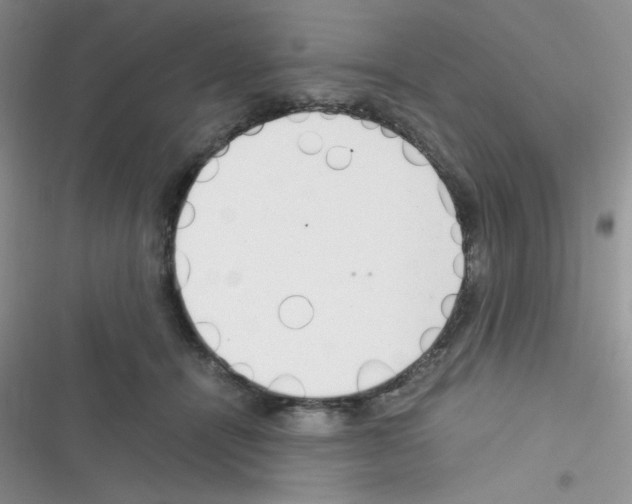 X0000116390464201001131833