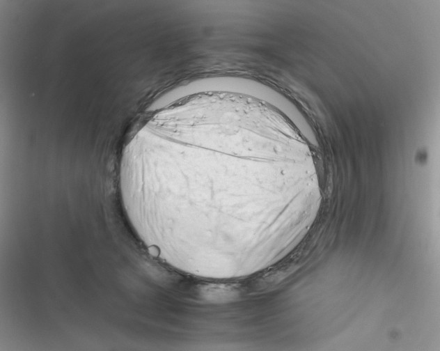 X0000116390465201001131833