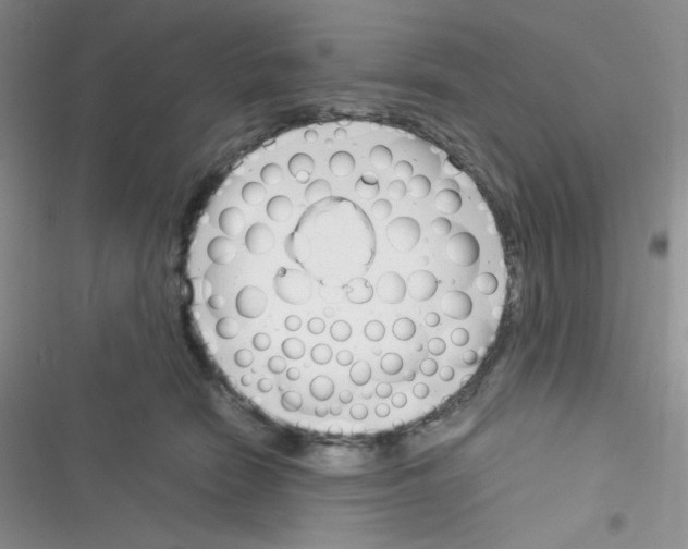 X0000116390466201001131833