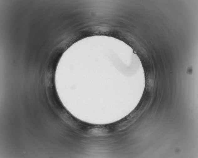 X0000116390468201001131833