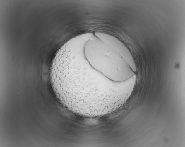 X0000116390469201001131833