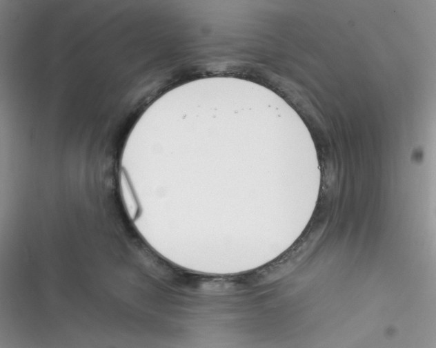 X0000116390470201001131833