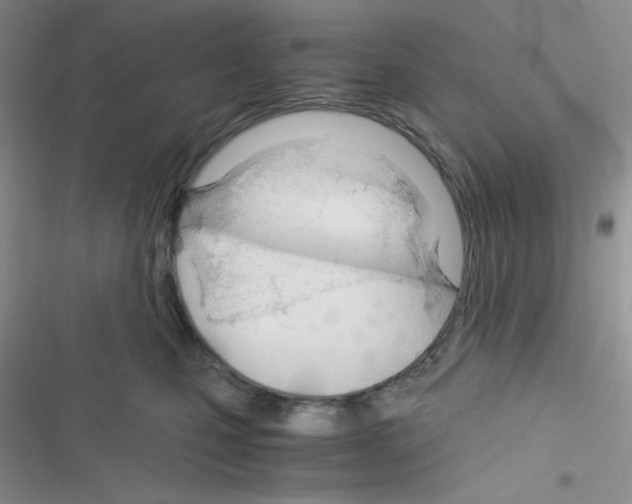 X0000116390471201001131833