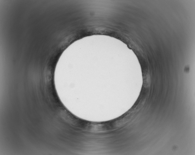 X0000116390472201001131833