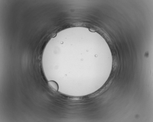 X0000116390473201001131833
