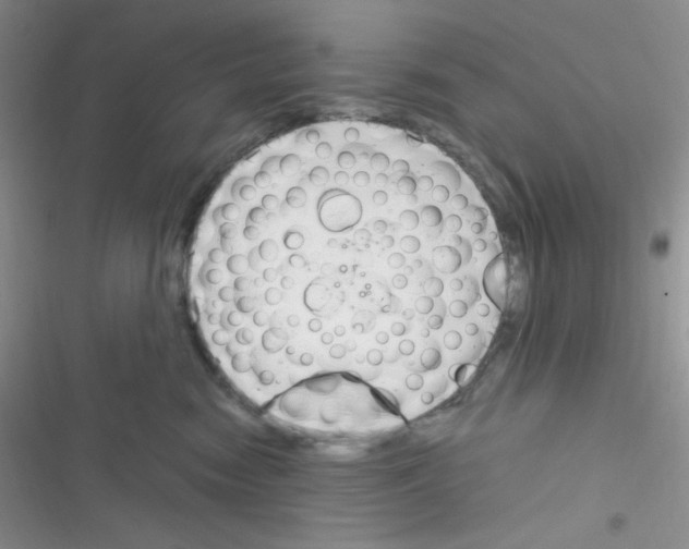 X0000116390474201001131833