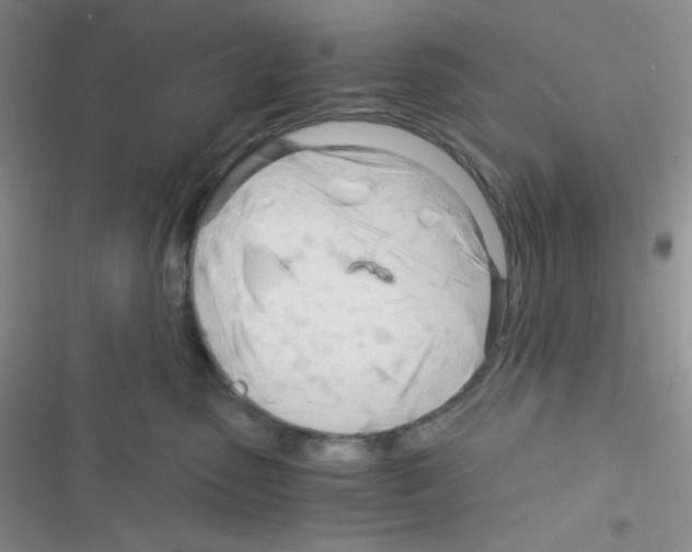 X0000116390475201001131833
