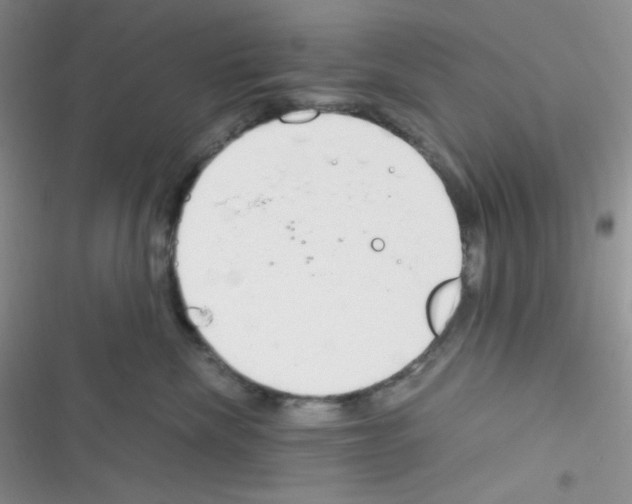 X0000116390476201001131833