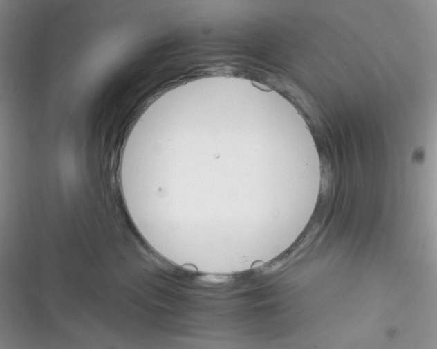 X0000116390477201001131834