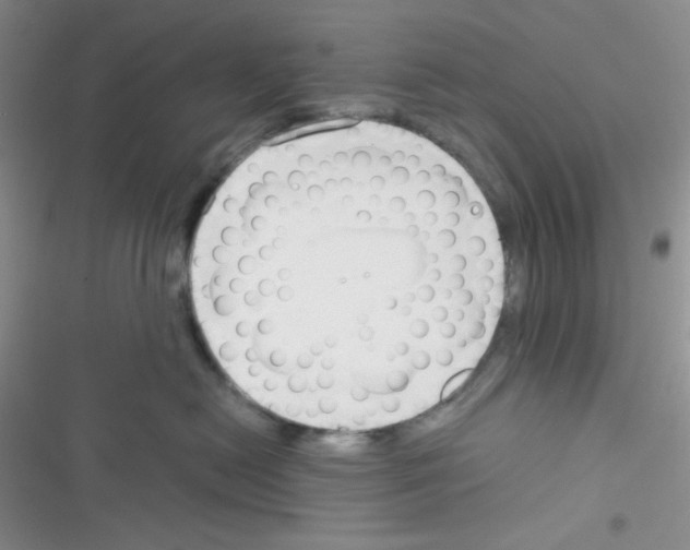 X0000116390478201001131834