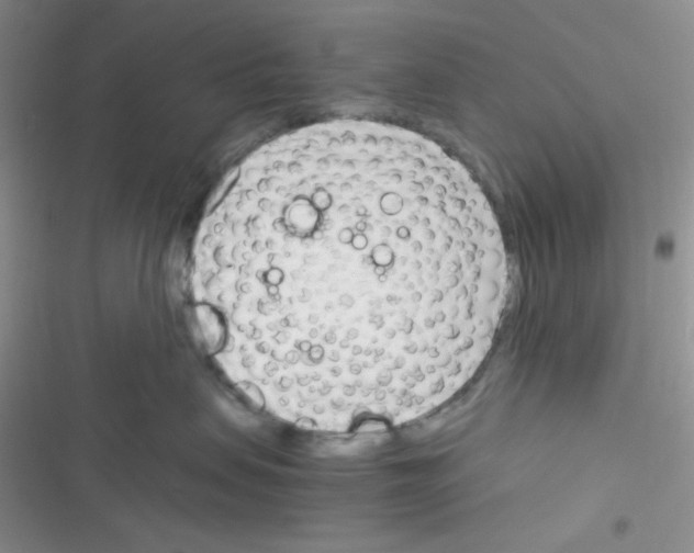 X0000116390479201001131834