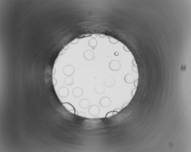 X0000116390480201001131834