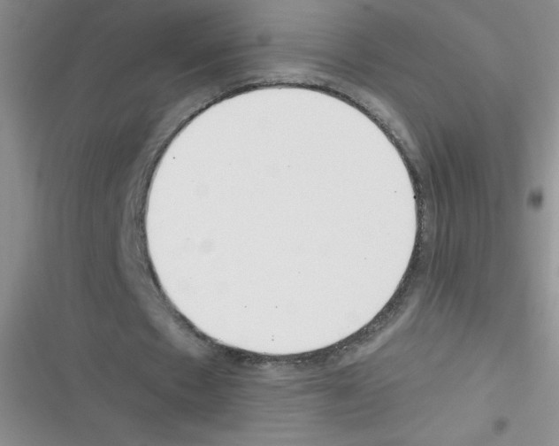 X0000116390481201001131833