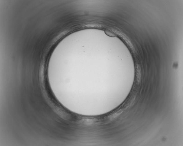 X0000116390482201001131833