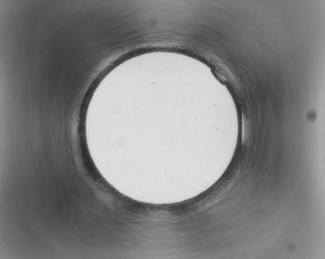 X0000116390483201001131833