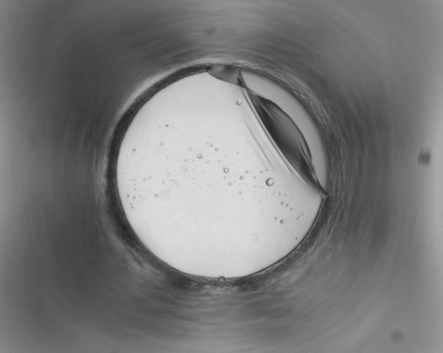 X0000116390484201001131833