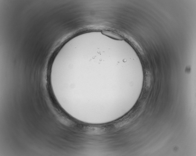X0000116390486201001131833