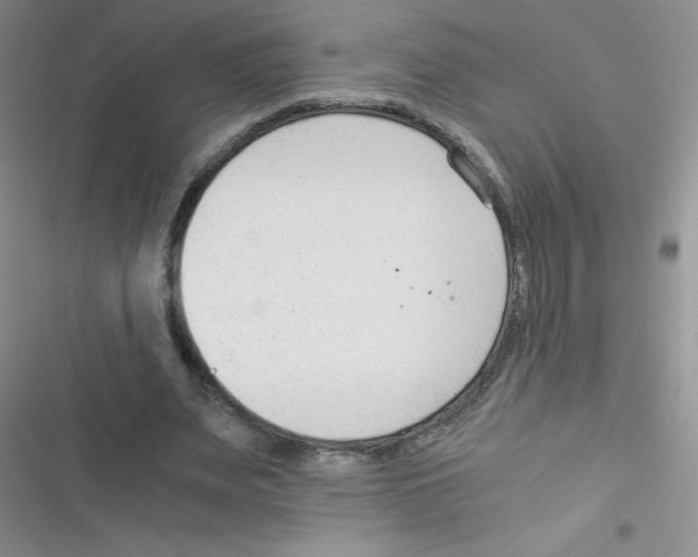 X0000116390487201001131833