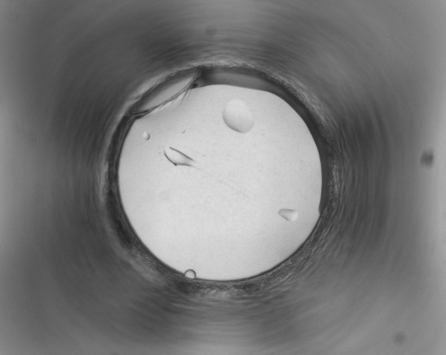 X0000116390488201001131833