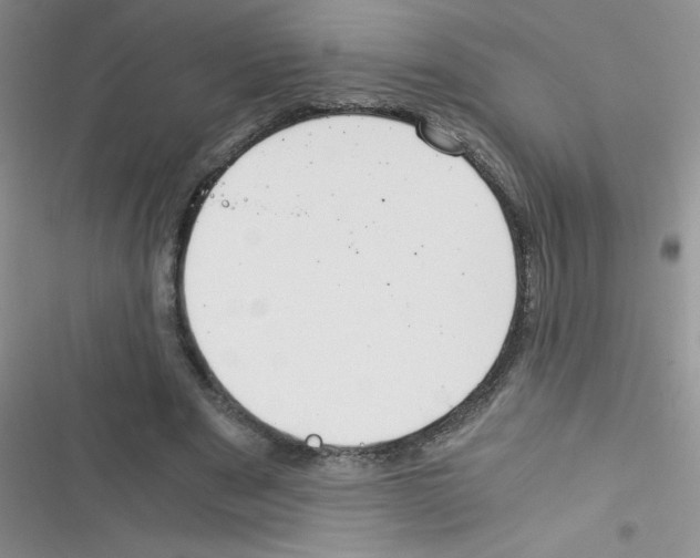 X0000116390489201001131833