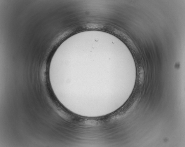X0000116390490201001131833