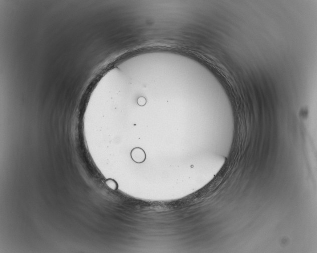 X0000116390492201001131833