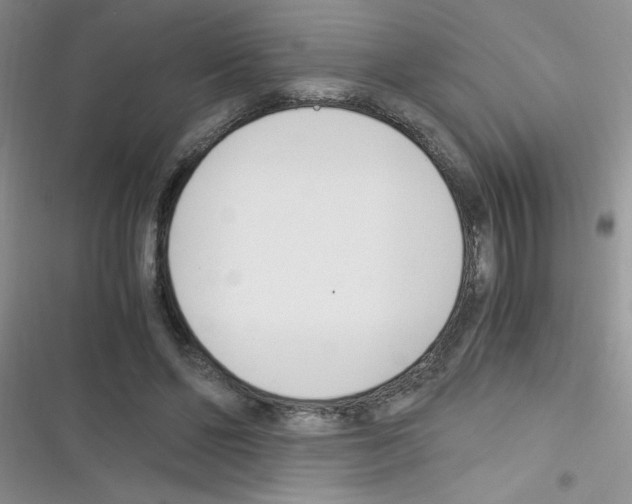 X0000116390494201001131833