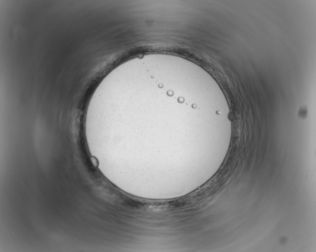 X0000116390495201001131833