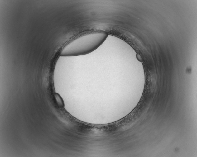 X0000116390496201001131833