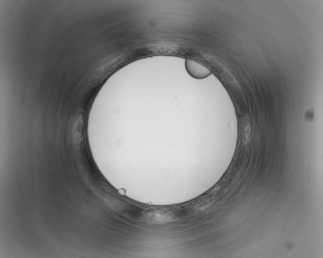 X0000116390498201001131833
