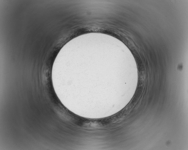 X0000116390503201001131833