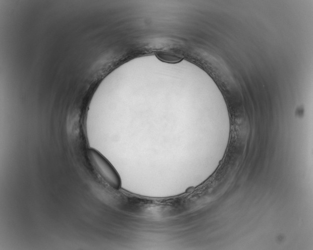 X0000116390504201001131833