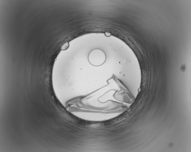 X0000116390505201001131833