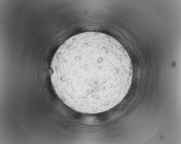 X0000116390507201001131833