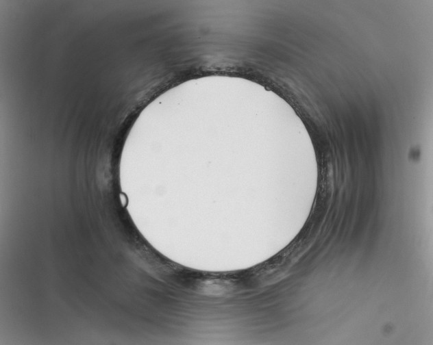 X0000116390508201001131833