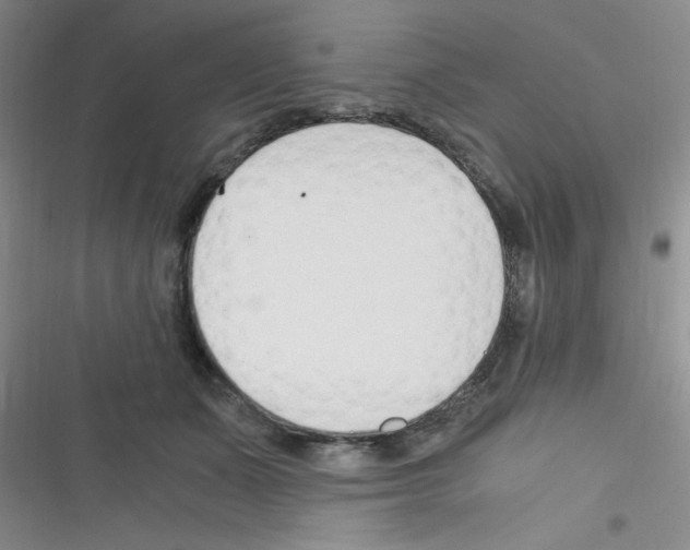 X0000116390511201001131832