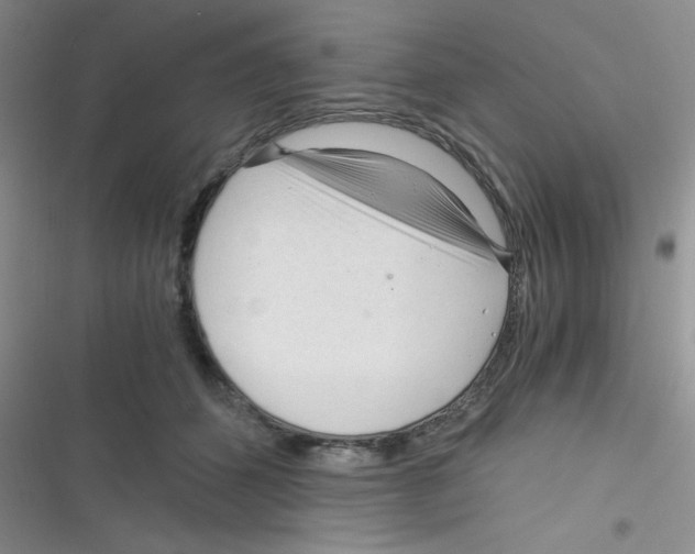 X0000116390512201001131832