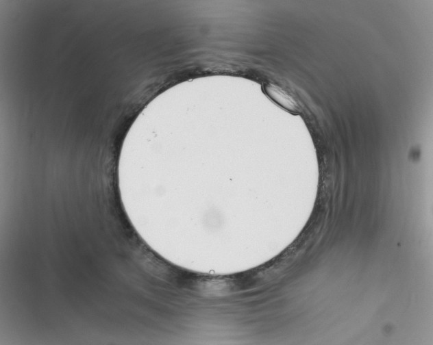X0000116390513201001131832